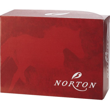 Botas Norton Safety Botas Norton Safety
