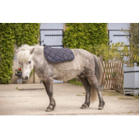 Tapete Paddock Sports Prems Preto Tapete Paddock Sports Prems Preto