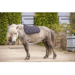 Tapete Paddock Sports Prems Tapete Paddock Sports Prems