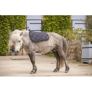 Tapete Paddock Sports Prems Tapete Paddock Sports Prems