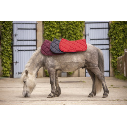 Tapete Paddock Sports Prems Tapete Paddock Sports Prems