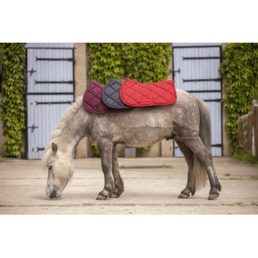 Tapete Paddock Sports Prems Tapete Paddock Sports Prems
