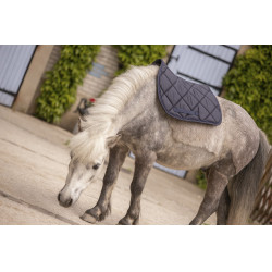 Tapete Paddock Sports Prems Tapete Paddock Sports Prems