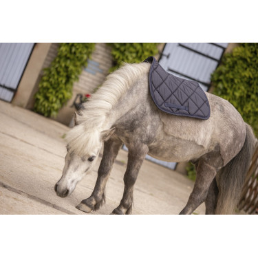 Tapete Paddock Sports Prems Tapete Paddock Sports Prems