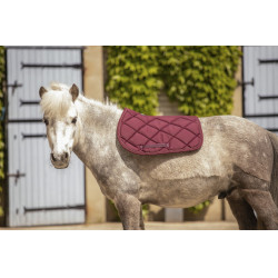 Tapis Paddock Sports Prems Prune