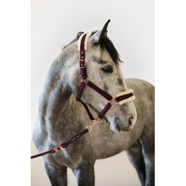 Cabresto e Guia Harcour Holly Violeta