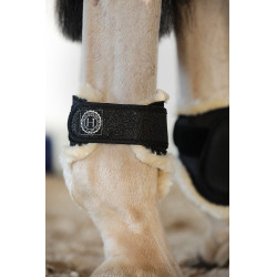 Protetores de boleto Harcour Totseen Preto Protetores de boleto Harcour Totseen Preto