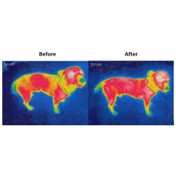 Couverture pour chien Bucas Therapy 150g