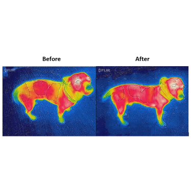 Couverture pour chien Bucas Therapy 150g