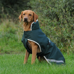 Capa para cão Bucas Greenline 0g Capa para cão Bucas Greenline 0g
