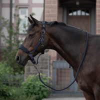 Cocheira acolchoada Graz Horze Preto Cocheira acolchoada Graz Horze Preto