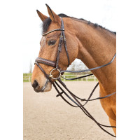 Rendas de couro tipo alemão Horze Sparta Castanho