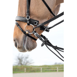 Rendas de couro/nylon tipo alemão Horze Sparta Preto Rendas de couro/nylon tipo alemão Horze Sparta Preto