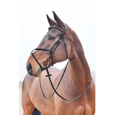 Cabeçada com noseband cruzado Prescott Horze Preto