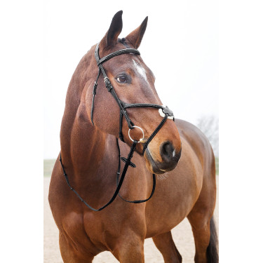 Cabeçada com noseband cruzado Prescott Horze Preto