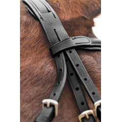 Cabeçada com noseband cruzado Prescott Horze Preto