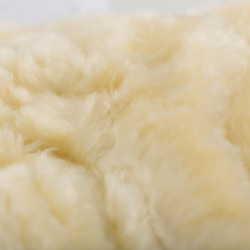 Guêtres fechadas Horze Signature Preto Guêtres fechadas Horze Signature Preto