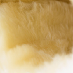 Guêtres fechadas Horze Signature Preto Guêtres fechadas Horze Signature Preto