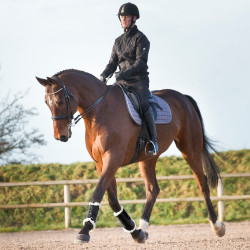 Guêtres fechadas Horze Signature Preto Guêtres fechadas Horze Signature Preto