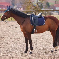 Almofada de sela de dressage Zurich Almofada de sela mista Zurich B Vertigo Almofada de sela de dressage Zurich Almofada de sela mista Zurich B Vertigo