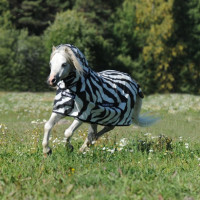 Couverture anti-mouches Bucas Buzz-Off Zebra Full Neck Couverture anti-mouches Bucas Buzz-Off Zebra Full Neck