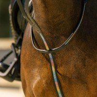 Martingale Imperial Riding Rainbow Arco-íris preto Martingale Imperial Riding Rainbow Arco-íris preto