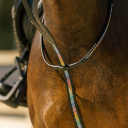 Martingale Imperial Riding Rainbow Arco-íris preto