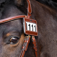 Número de cabeçada HV Polo Legacy Castanho