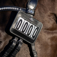 Número de cabeçada HV Polo Legacy Castanho