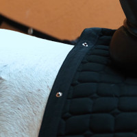 Almofada de sela Imperial Riding Multiride DR Preto