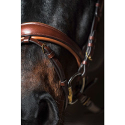 Bridon Marrakesh HKM Bridon Marrakesh HKM