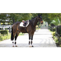 Almofada amortecedora LeMieux Close Contact ProSorb 2 Bolsos Preto