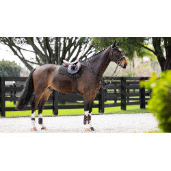 Almofada amortecedora LeMieux mista quadrada ProSorb 2 Bolsos Preto Almofada amortecedora LeMieux mista quadrada ProSorb 2 Bolsos Preto