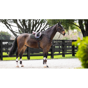 Almofada amortecedora LeMieux mista quadrada ProSorb 2 Bolsos Preto Almofada amortecedora LeMieux mista quadrada ProSorb 2 Bolsos Preto