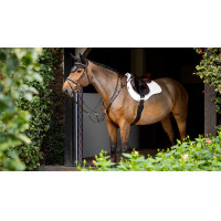 Almofada amortecedora LeMieux mista quadrada ProSorb 2 Bolsos Branco