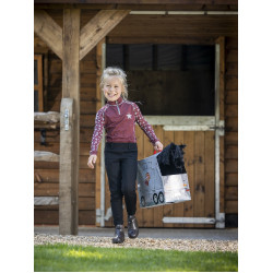 Camion en carton pour jouet poney LeMieux