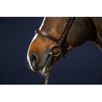 Bridão Muserola Combinada Dy'on New English Collection Castanho