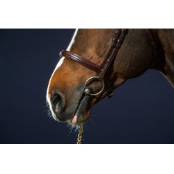 Bridão Muserola Combinada Dy'on New English Collection Castanho Bridão Muserola Combinada Dy'on New English Collection Castanho