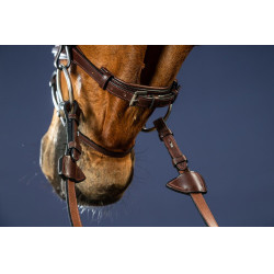 Bridão Muserola Combinada Dy'on New English Collection Castanho Bridão Muserola Combinada Dy'on New English Collection Castanho