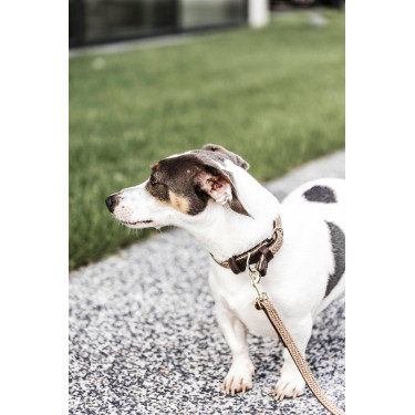 Trela para cão de nylon entrançado 120 cm Kentucky Bege Trela para cão de nylon entrançado 120 cm Kentucky Bege