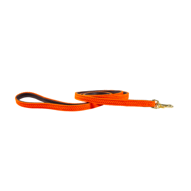 Trela para cão de nylon entrançado 120 cm Kentucky Trela para cão de nylon entrançado 120 cm Kentucky