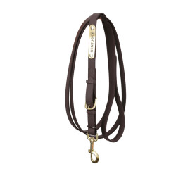 Longe de apresentação Kentucky Castanho