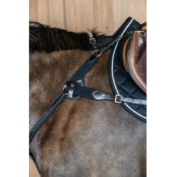 Peitoral de 5 pontos com elásticos D Collection Dy'on Preto