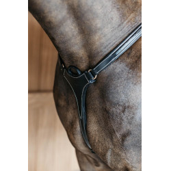 Peitoral de 5 pontos com elásticos D Collection Dy'on Preto