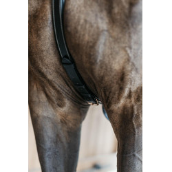 Peitoral de 5 pontos com elásticos D Collection Dy'on Preto