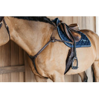 Peitoral de 5 pontos com elásticos D Collection Dy'on Castanho