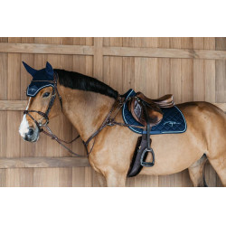 Peitoral de 5 pontos com elásticos D Collection Dy'on Castanho