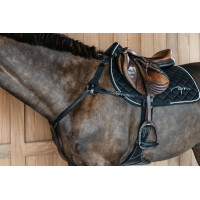 Peitoral de 5 pontos com elásticos New English Collection Dy'on Preto