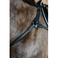 Peitoral de 5 pontos com elásticos New English Collection Dy'on Preto