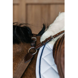 Peitoral de 5 pontos com elásticos New English Collection Dy'on Castanho Peitoral de 5 pontos com elásticos New English Collection Dy'on Castanho